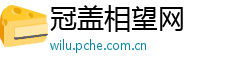 冠盖相望网